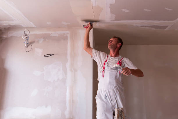 Best Water-Damaged Drywall Repair  in Abram, TX